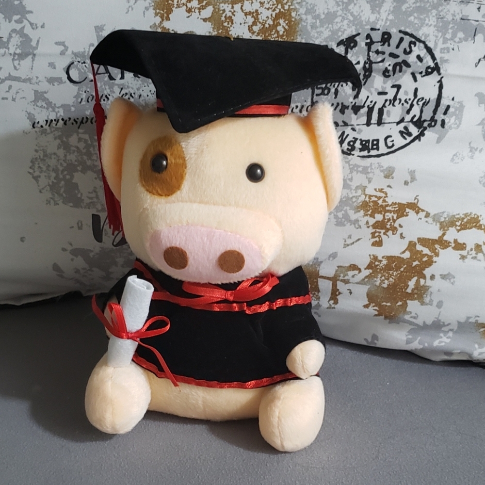 Cute McDull Piggy Graduation Stuffed Animal